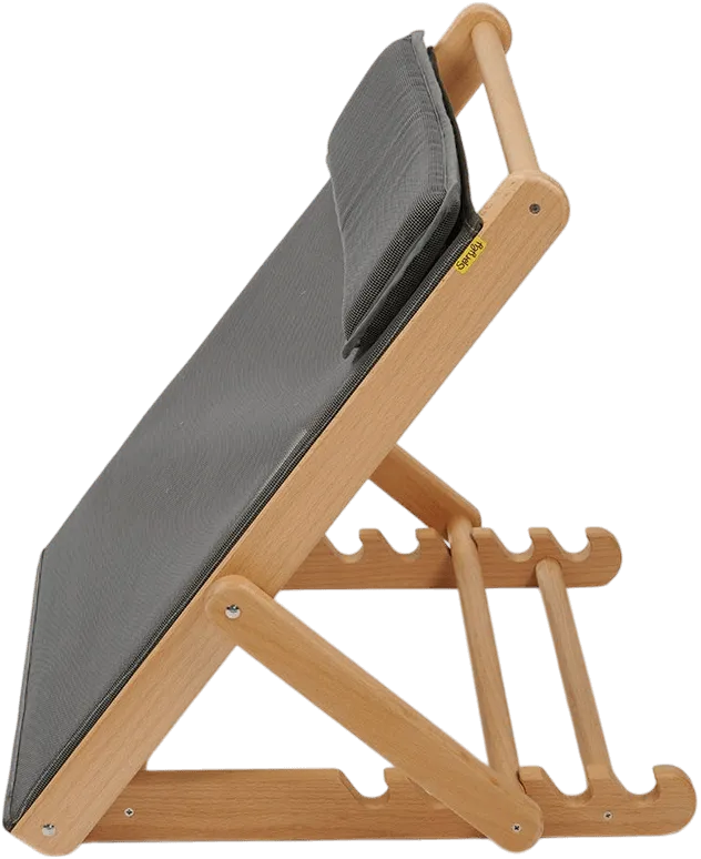 Laze Backrest
